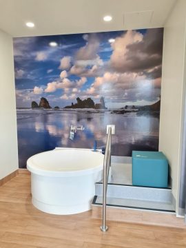 Maternity Unit - Te Nikau - Birthing Room