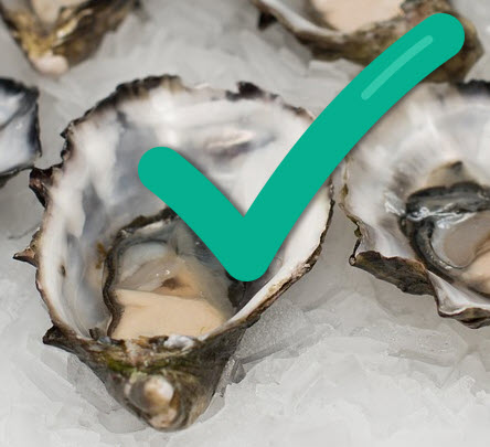 Shellfish with big green checkmark