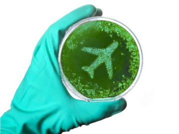 Hand holding up a petri dish where culture looks like an airplane